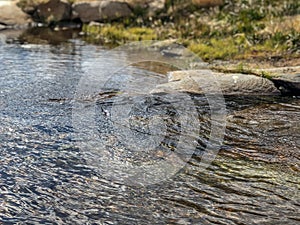 Water flowing through Path at Hetch Hetchy