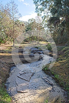 Water flowing through a ravine at Ravine Gardens State Park in Palate, Florida USA