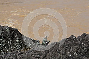 Water flowing of the river. water from river canals. nature source water after flood