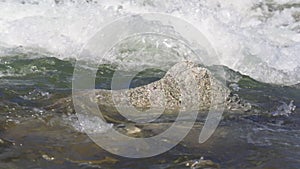 Water flowing in spring river over small rock, slow motion video