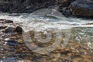 Water Flowing in Sunny Creek