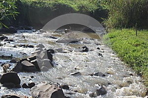 water flowing swiftly under the sunlight on the cibintinu river, Arjasari, West Java