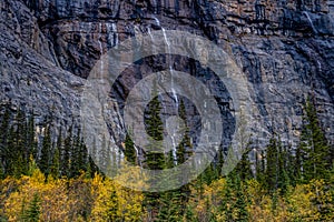 Weeping wall, Banff National Park, Alberta, Canada