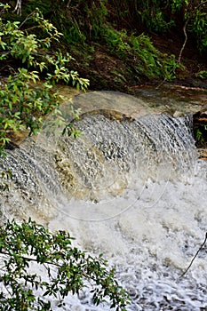 Water flows down a swiftly moving brook upstream from Wentworth Falls