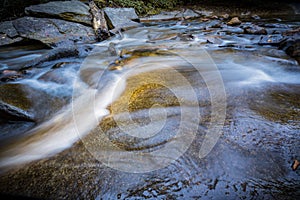 Water flows gently over the rocks in Davidson River in Pisgah Forest, NC