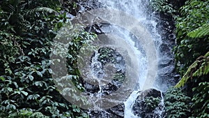 Water flows in Madakaripura water fall
