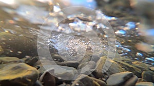 Water flows in a mountain river