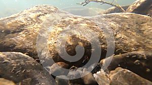 Water flows in a mountain river