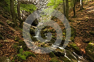 Water flows out of the Cioclovina cave