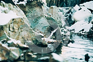 Water flows over a partially frozen Upper Cataract Falls in rural Indiana.