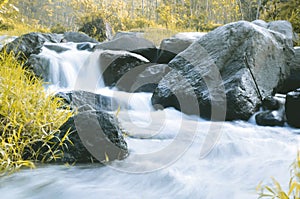 water flows over rocks and weeds