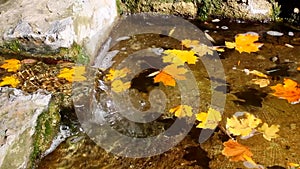 Water flows into pool by transparent stream against background of floating autumn leaves.