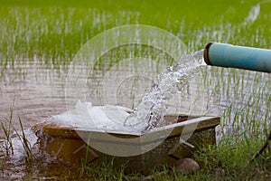 Water flows into a rice field.