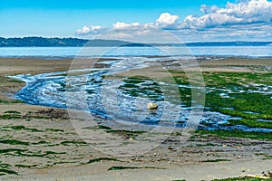 Beach Park Dash Point 4