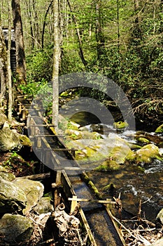 Water flume