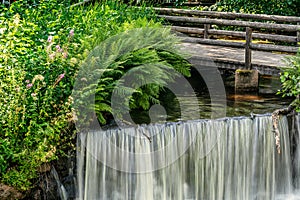 Water flushing down in a small waterfall in a jungle like environment