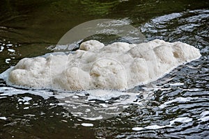 Water foam texture on the river