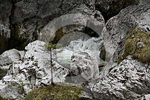 Water force of nature in the Alps