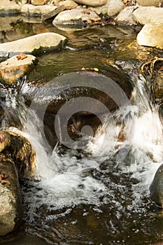 Water in the form of a waterfall between stones