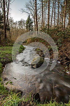 Water and forrest within the Dutch Waterloop Forrest for Hydraulic Research