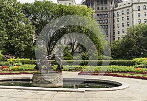 Water fountain in Central park