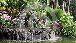 Water Fountain Feature