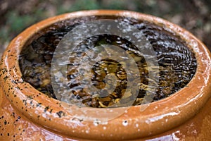 Water Fountain Flowing in the Park