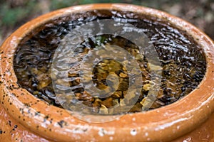 Water Fountain Flowing in the Park