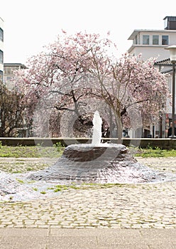 Water Fountain