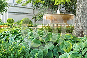 Water fountain in the garden