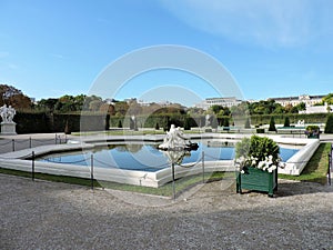 Belvedere Gardens photo