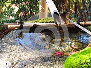 Water fountain, Japanese Garden, Zen Garden, Bamboo Water Fountain