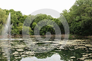 A water fountain in a lake surrounded by walking paths, trees, benches and a gazebo in Janesville, Wisconsin