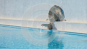 water fountain in the outdoor pool of the N1 air base in Pero Pinheiro photo