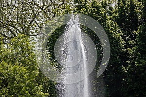 Water fountain in the park Warmer Damm in Wiesbaden