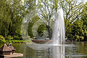 Water fountain in the park Warmer Damm in Wiesbaden