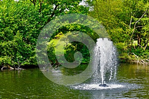 Water fountain in a pond