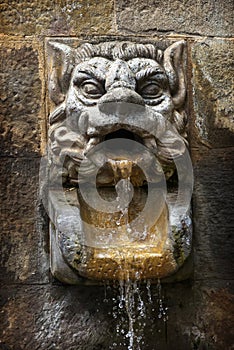 Water fountain shaped as the head of a lion
