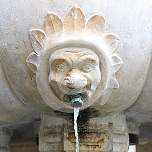 Water fountain stone head face