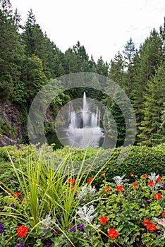 Water fountains, Butchart Gardens, Victoria, Canada