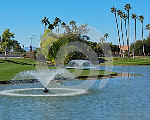 Water fountains and Palm Trees in Maricopa County, Glendale, Arizona.