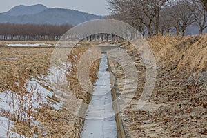 Water frozen in calvert in field