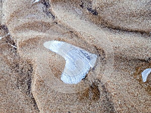 Water frozen in the shape of heart in beach sand. Macro shot of ice heart in dune