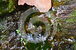 Water from the Fuente Agria de PÃ³rtugos, in Granada, Spain. Forming a small stream