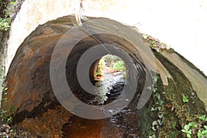 Water from the Fuente Agria de PÃ³rtugos, in Granada, Spain. Forming a small stream