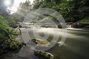 Water full of life ,tream in Slovakia