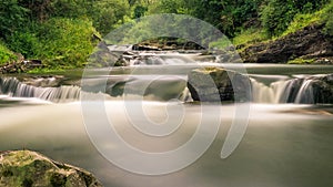 Water full of life ,tream in Slovakia