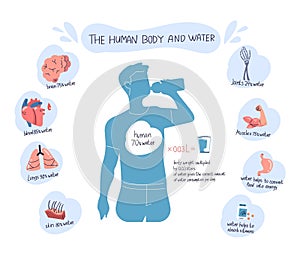 Water function in body. Fluid composition of human, drinking benefits medicine infographic temperature regulations