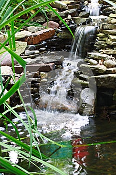 Agua jardín 