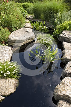 Water Garden